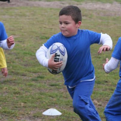 Springbok in the making