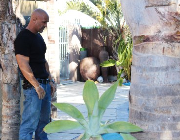 Gert Louw BLACK SHIRT.JPG