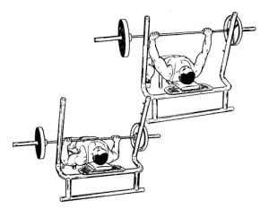 FLAT BENCH PRESS2